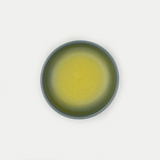 Siesta Everyday Bowl