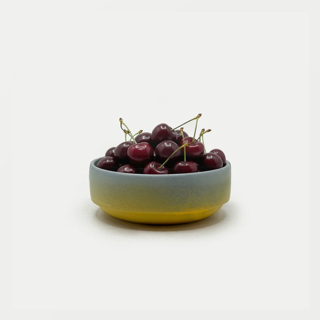 Siesta Everyday Bowl