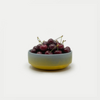 Siesta Everyday Bowl