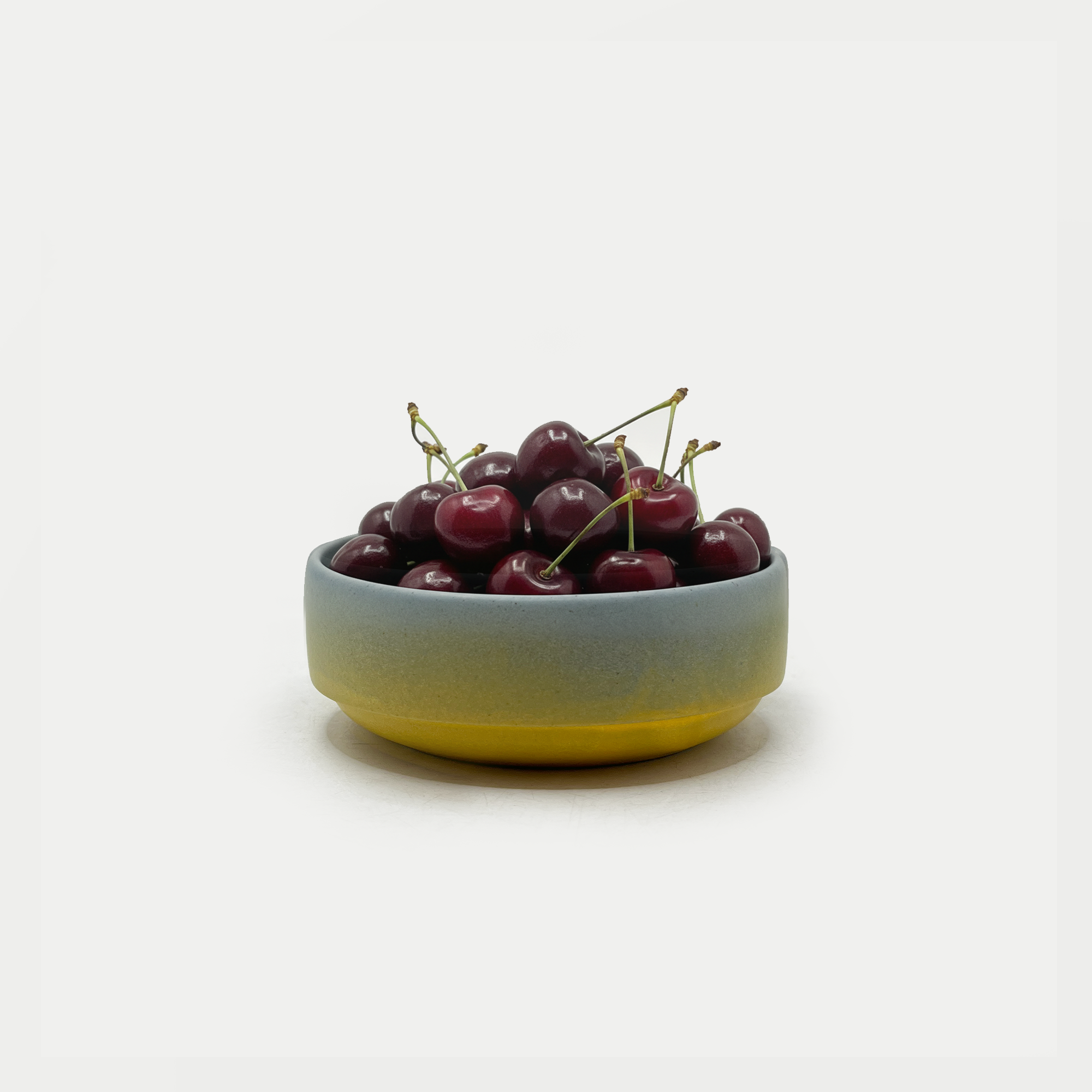 Siesta Everyday Bowl